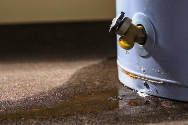 Best Carpet water damage restoration  in Lewiston, UT