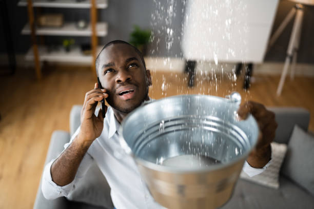 Best Professional water damage repair  in Lewiston, UT