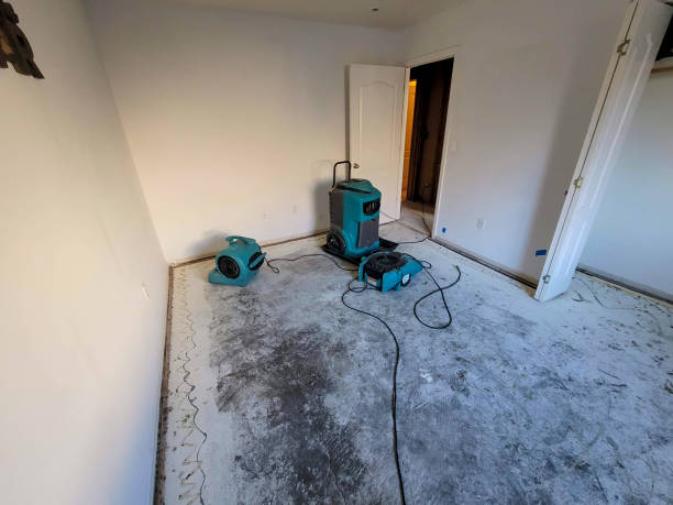 Lewiston, UT Water damage restoration Company