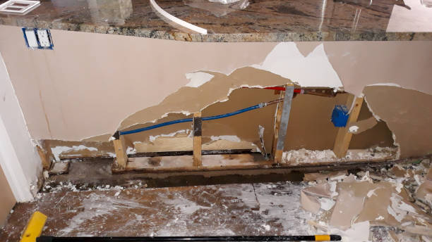 Best Water damage cleanup near me  in Lewiston, UT