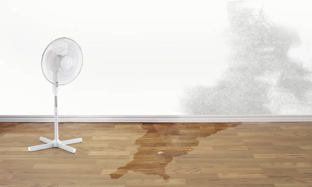 Best Flood restoration services  in Lewiston, UT