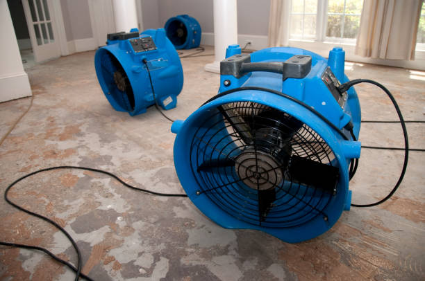 Best 24-hour water damage restoration  in Lewiston, UT