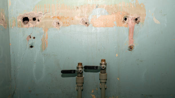 Best Mold removal after water damage  in Lewiston, UT