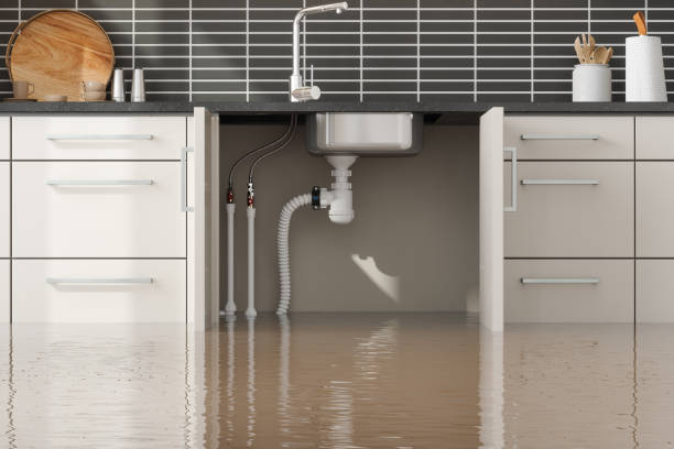 Best Water damage restoration near me  in Lewiston, UT