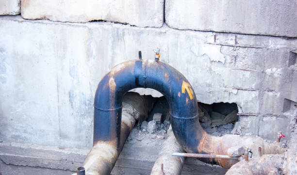 Best Professional water damage repair  in Lewiston, UT