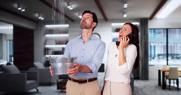 Best Flood restoration services  in Lewiston, UT