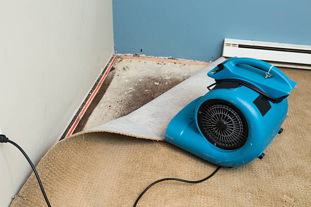 Carpet water damage restoration in Lewiston, UT